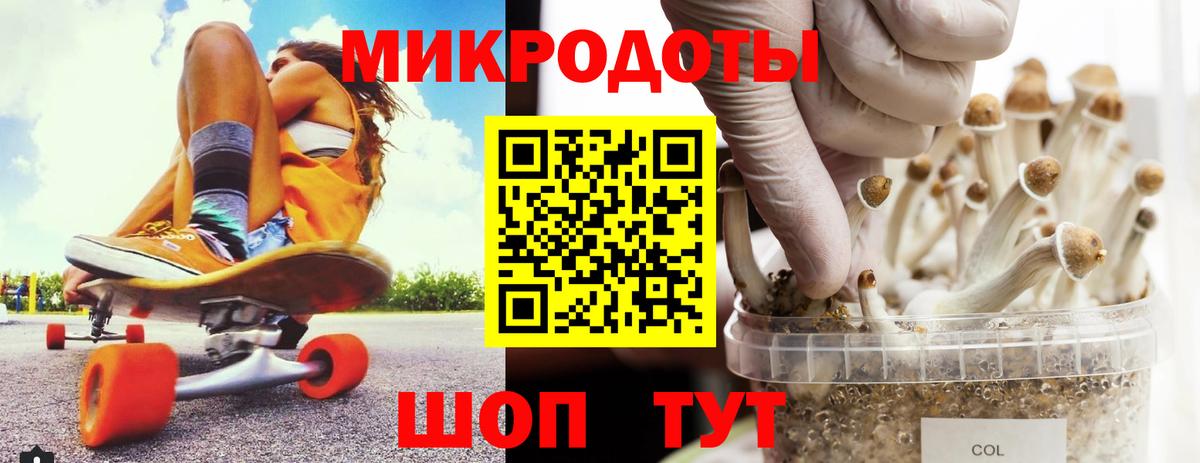 Псилоцибиновые грибы мицелий Тамбов